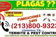 FUMIGADOR  PROFESIONAL PLAGAS en Los Angeles