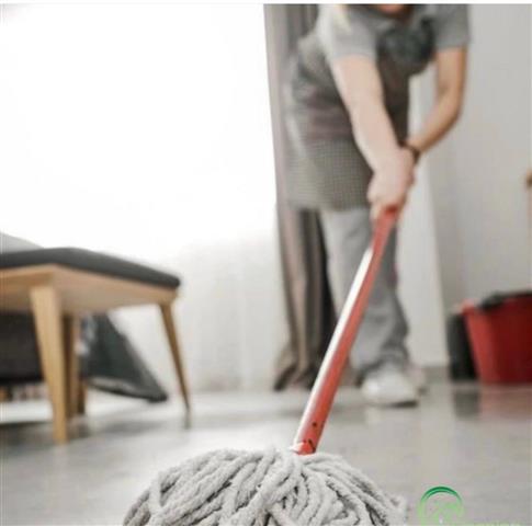 House cleaning image 1