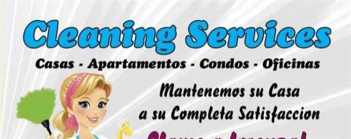 Lorenza cleaning service image 1