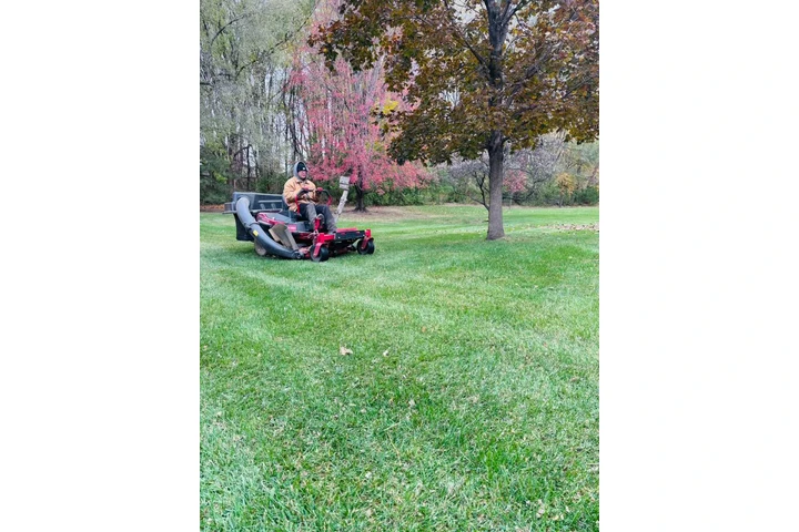 M & Sons Lawn And Landscaping image 9