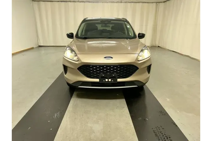 $20225 : Ford Escape Hybrid 2020 AWD image 3