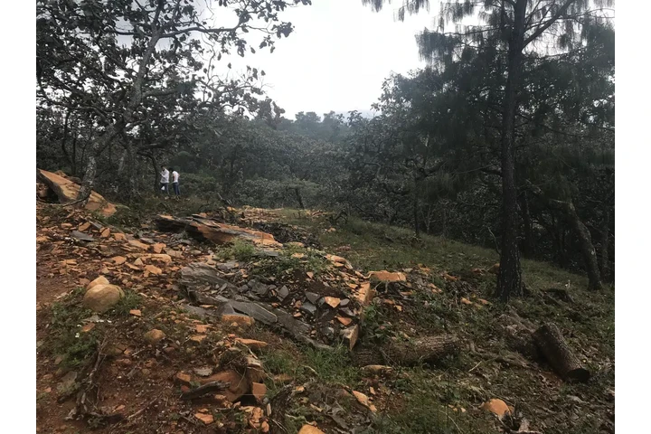 $850000 : Terreno Sierra Mazati image 2