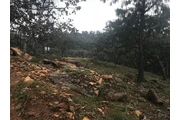 $850000 : Terreno Sierra Mazati thumbnail