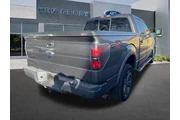 $17238 : Ford F-150 2011 4x4 FX4 4dr thumbnail