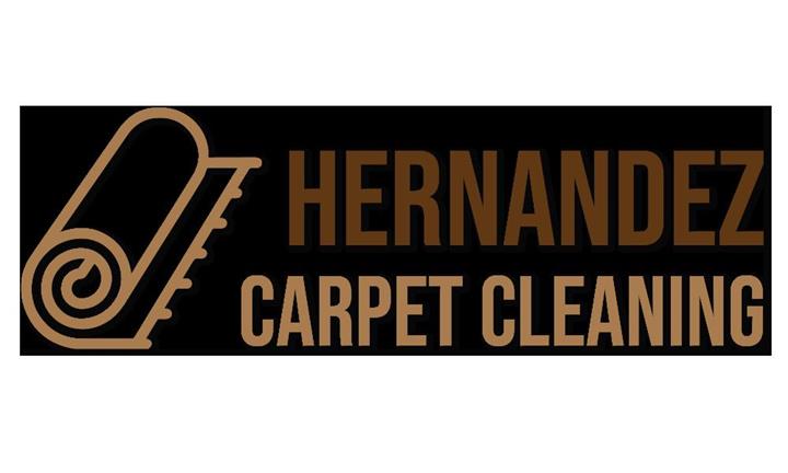 Hernandez Carpet Cleaning image 6