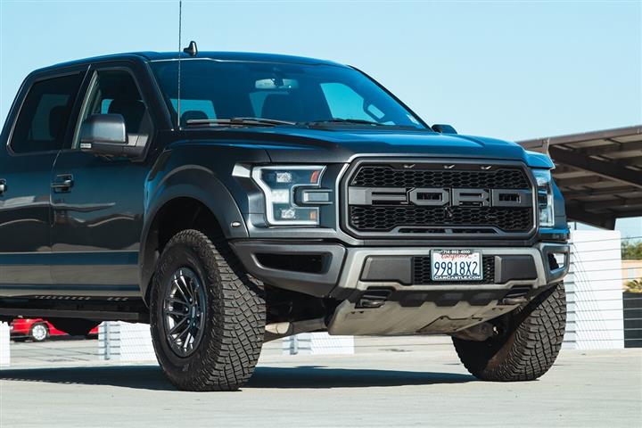 2019 F-150 Raptor image 3