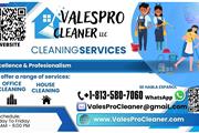 ♧VALESPRO CLEANER.♧ thumbnail