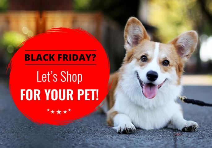 Black Friday Deals for Pets image 1