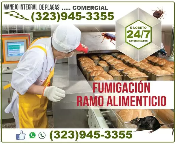 *TERMITAS-PLAGAS-FUMIGACIONES* image 9