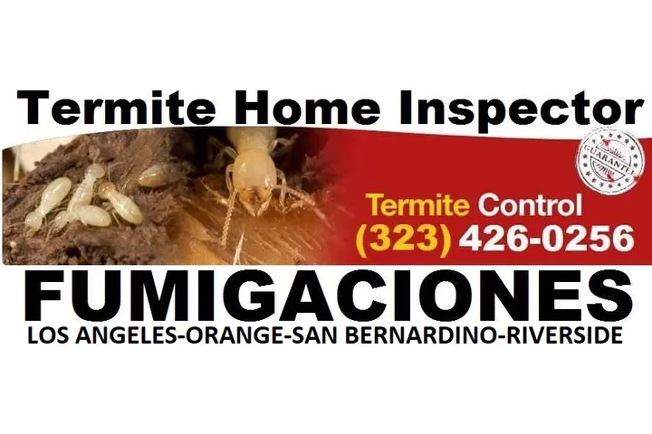 FUMIGACION TERMITAS 24/7 image 6