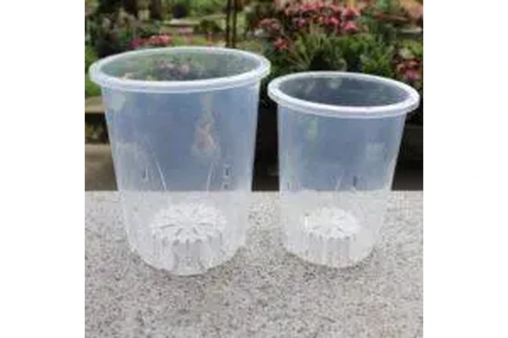 $2 : Orchid Pot for Sale image 1