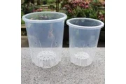 Orchid Pot for Sale en Miami