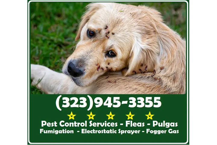 PEST CONTROL SERVICES L.A. image 8