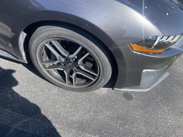 $29998 : PRE-OWNED 2019 FORD MUSTANG G image 8