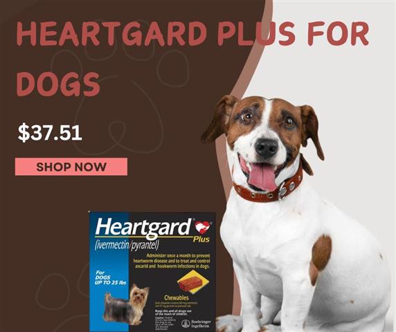 $37.51 : Heartgard Plus for Dogs image 1