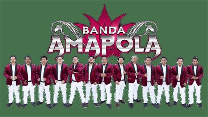 BANDA AMAPOLA 323 303 8484 image 1