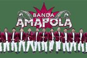 BANDA AMAPOLA 323 303 8484 thumbnail