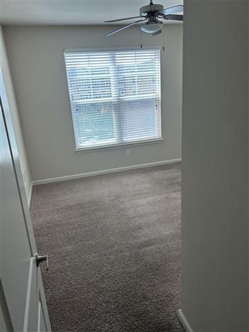 $800 : Room for rent image 2