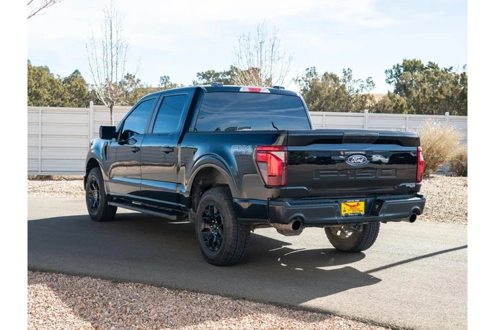 2025 F-150 STX image 7