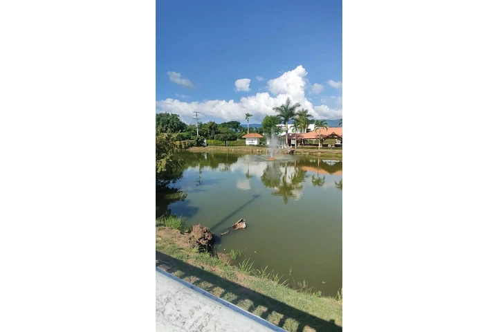 $480000000 : VENDO LOTE CAMPESTRE ANAPOIMA image 8