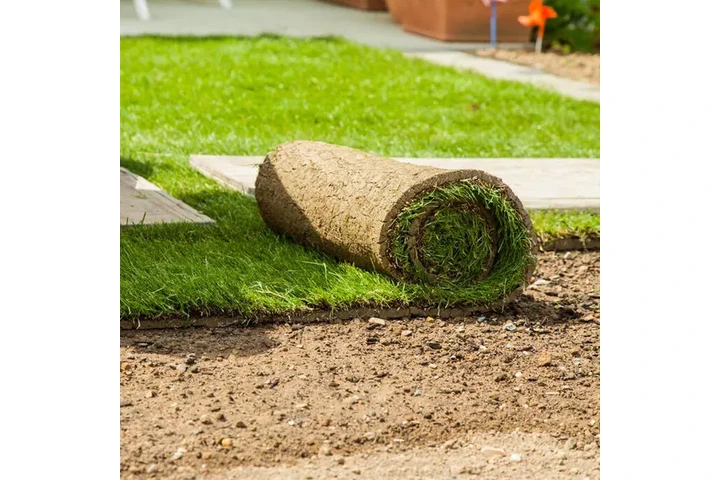 SERVICIO DE JARDINERÍA image 6