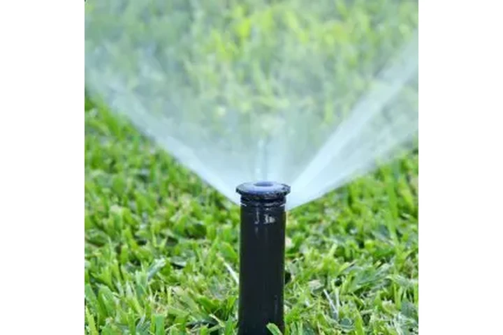 🌳 JARDINERÍA Y LANDSCAPING 🌳 image 7