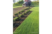VENTA DE PASTO SAN AGUSTÍN thumbnail