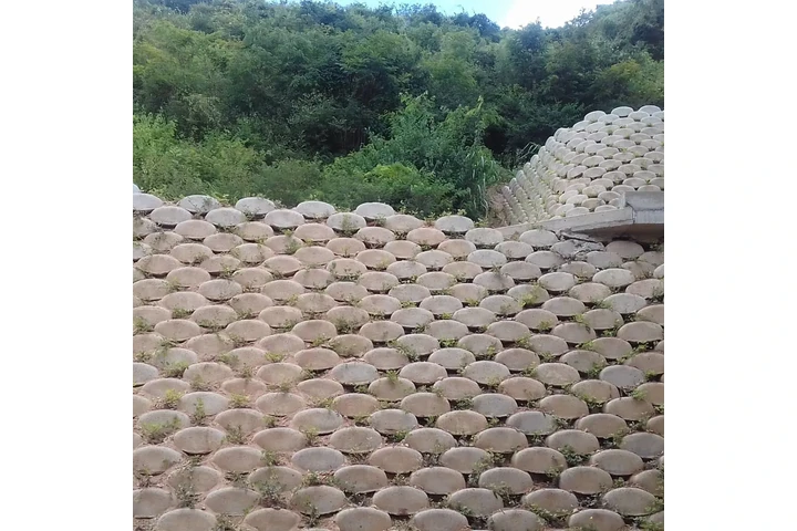 Muros Ecologicos en Caracas image 2