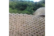 Muros Ecologicos en Caracas thumbnail