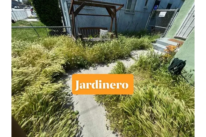 $45Corté de pasto 3232896968 image 5