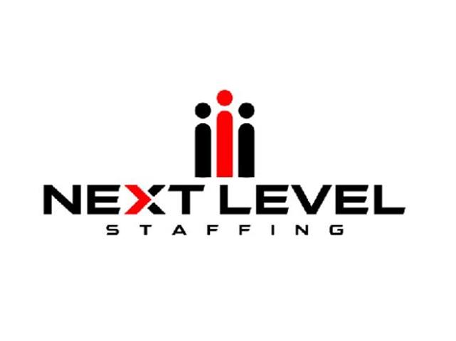 Next Level Staffing Ontario image 1