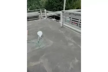 💦WATER PROOF CEMENTO PARA 👇 en Los Angeles