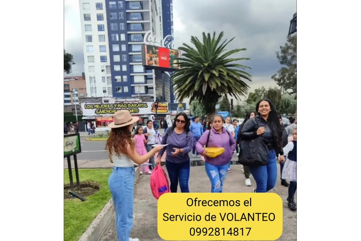 Entregamos VOLANTES image 1