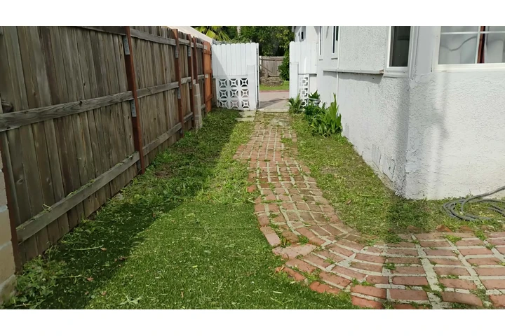Corte de pasto 🏡$35 image 5