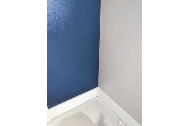 Professional Painting Services image 7