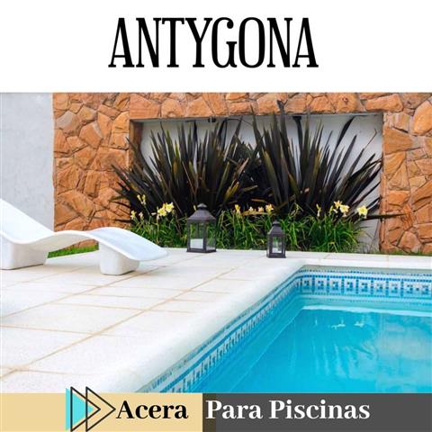 Antygona Dominicana image 9