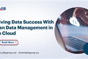 Driving Data Success LeanData