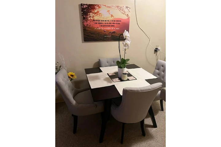 $250 : Mesa de Comedor image 1