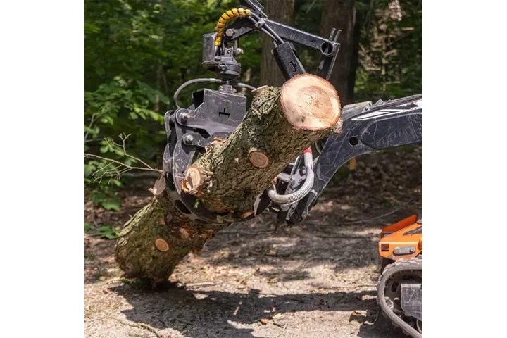 Poda y trimming profesional image 1