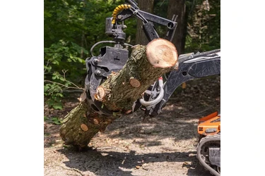 Poda y trimming profesional en Stockton