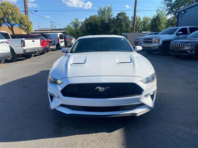 $20369 : 2019 Mustang EcoBoost Premium image 2