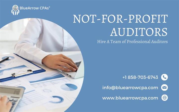 Not for profit auditors - BAI image 1