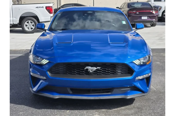 $22291 : Ford Mustang 2021 EcoBoost P image 2