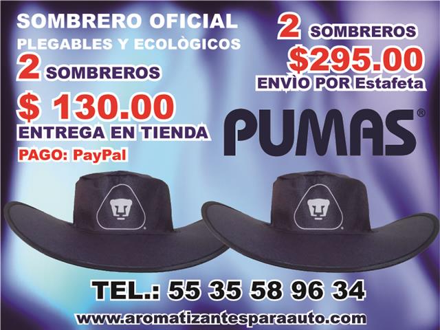 $130 : GORRAS NO SOMBREROS PERSONALIZ image 2