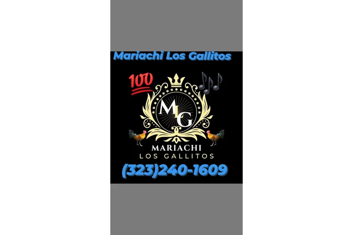 Mariachi Los Gallitos For Hire image 6