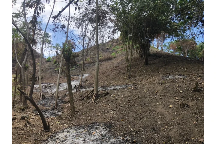 $550000000 : Terreno en venta Santa Marta image 2