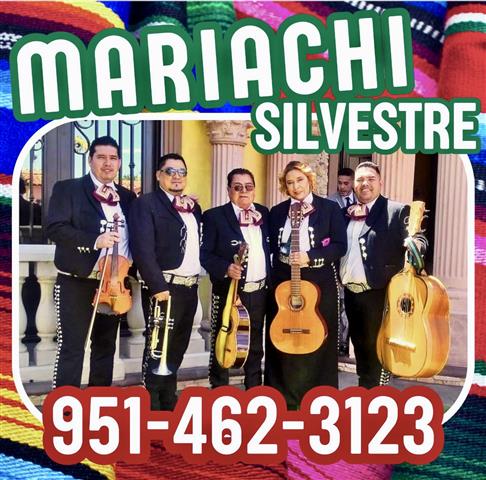 🎺MARIACHI SILVESTRE 🎻 image 1