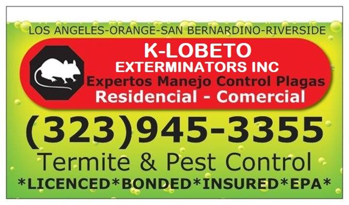 FUMIGACIONES 24/7 PEST CONTROL image 7