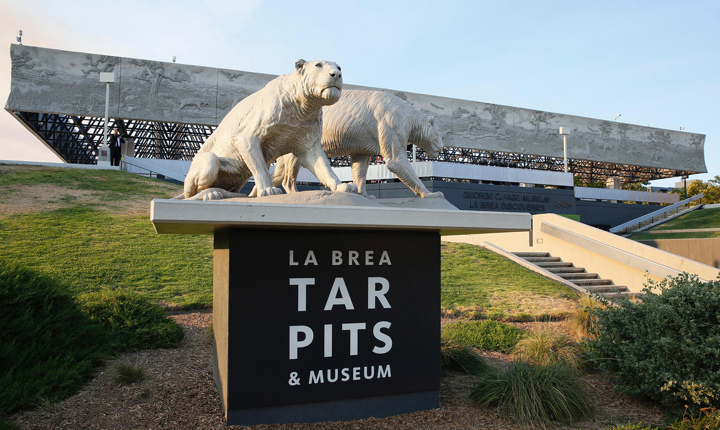 La Brea Tar Pits & Museo es uno de los museos participantes