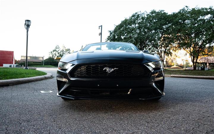 $27000 : 2020 FORD MUSTANG image 9